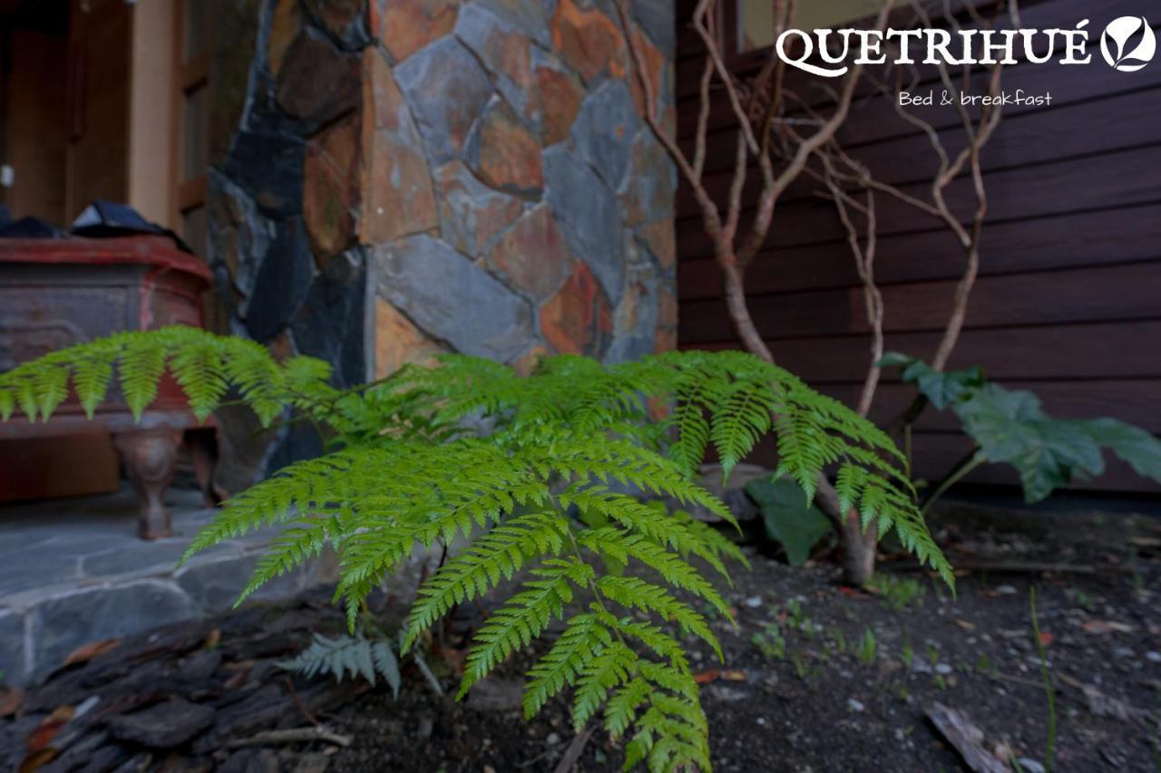 Quetrihue Bed and Breakfast Puerto Varas Exteriör bild